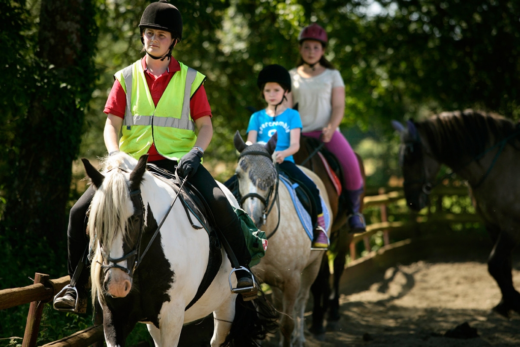 horseback-riding-lessons-horseback-riding-lessons-riding-lessons