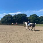 Riders returning from the New Forest National Park