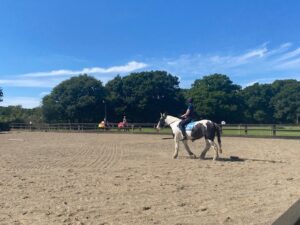 Riders returning from the New Forest National Park