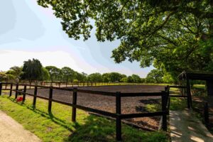 The Outdoor School at BV Valesmoor