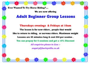 Adult Beginner Group Lessons