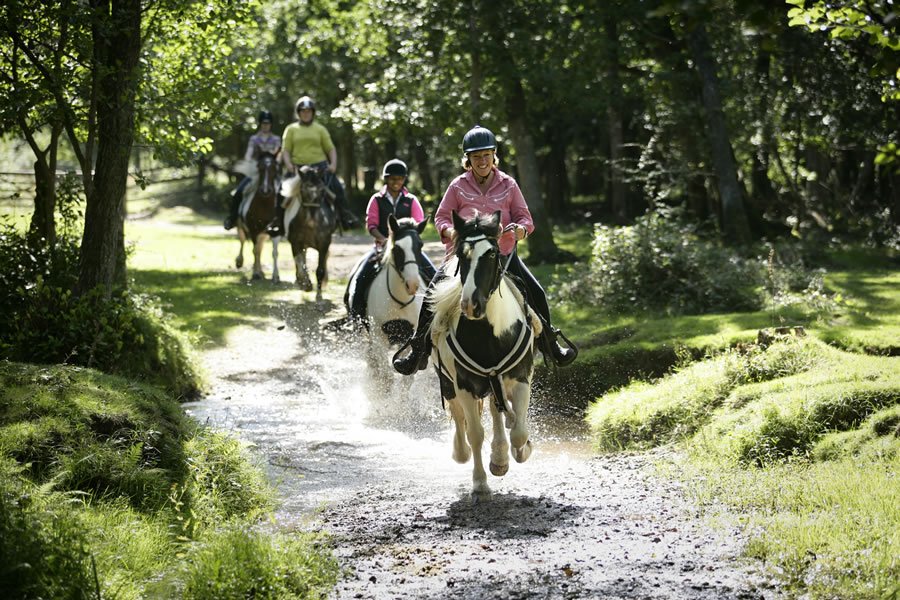 Forest Trail Rides - the stream in Brownhills