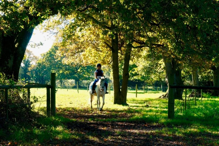 Pony Trail